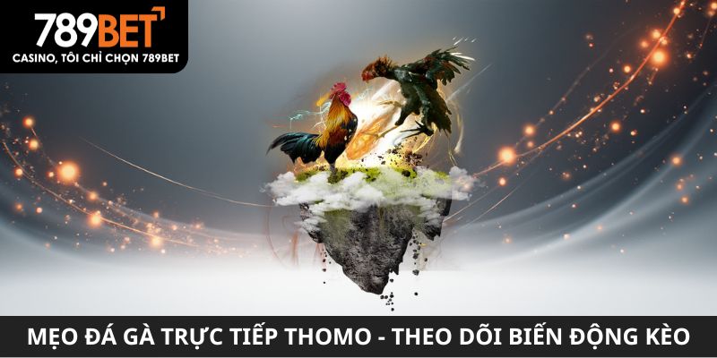 Mẹo chơi đá gà trực tiếp Thomo - Theo dõi biến động kèo