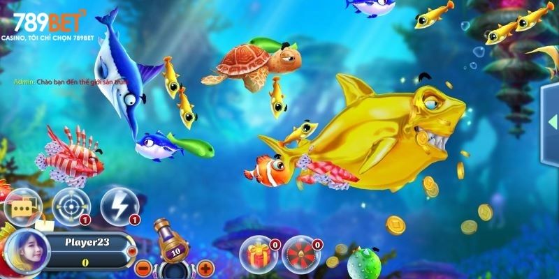 Thông tin cần nắm về game 