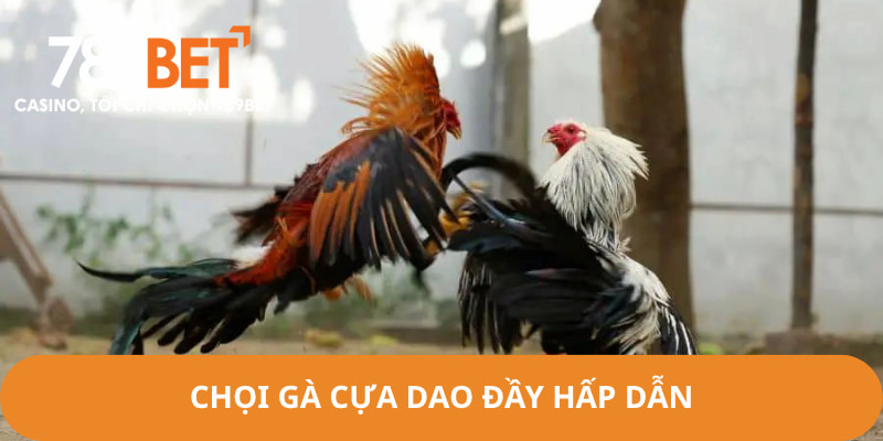 Chọi gà cựa dao mang tới cho người chơi trải nghiệm đầy ấn tượng