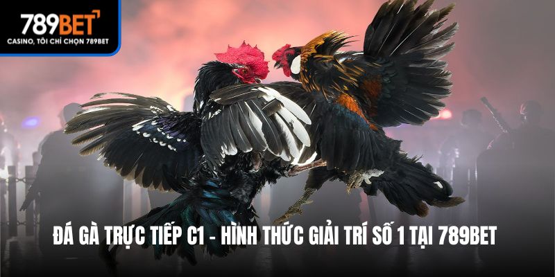đá gà trực tiếp c1